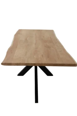 Boomstamtafel