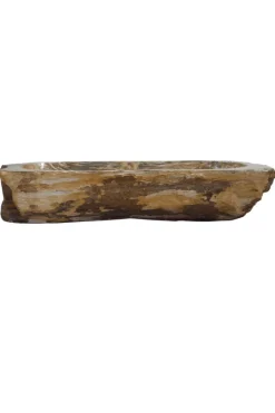 Fossiele Versteend Houten Wasbak