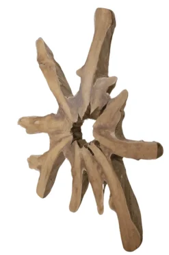 Grote wortel teak schijf