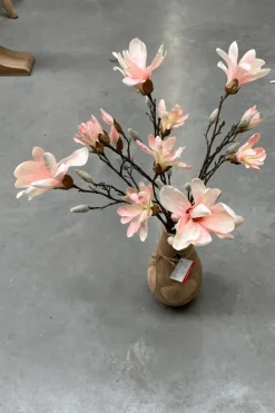 Magnolia tak
