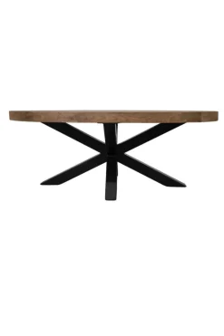 Ovale Teak Houten Salontafel met Zwarte Matrixpoot