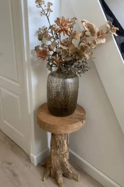 Pilaar Wortel Teak