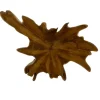 Teakhouten wanddecoratie wortel