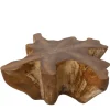 Unieke Wortel Teak Salontafel – Stervorm