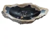 Versteend Houten Fossiele Wasbak